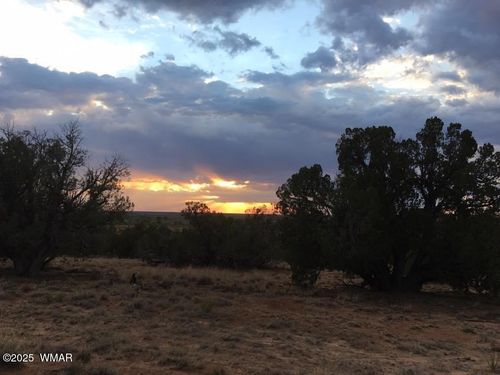 14 Eagle Rd, Concho, AZ, 85924 | Card Image
