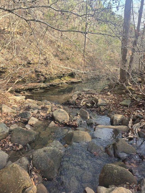 2433 Fayette Rd, Clinton, AR, 72031 | Card Image