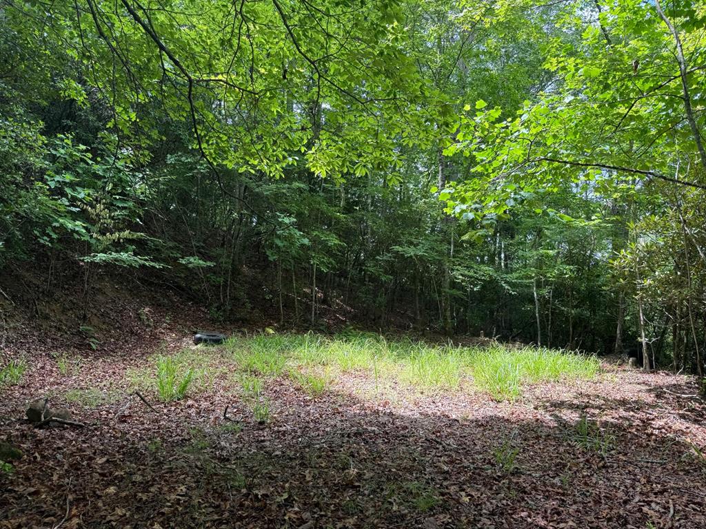 Land in Franklin