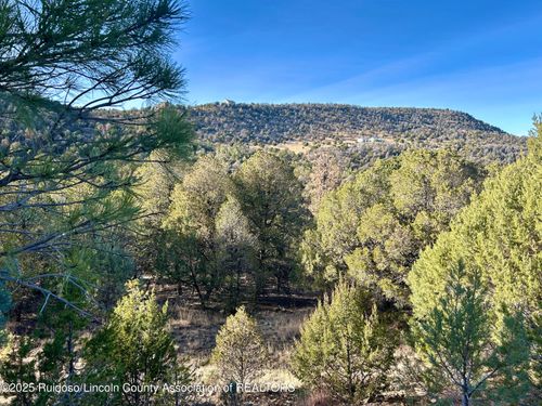 Lot 268 Santiago Cir, Alto, NM, 88312-9609 | Card Image
