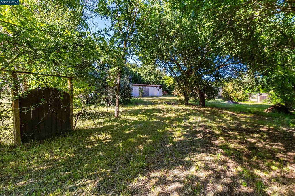 Land in Sonoma 5