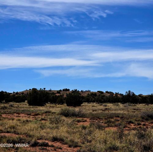 5438 County Line Road, Snowflake, AZ, 85937 | Card Image