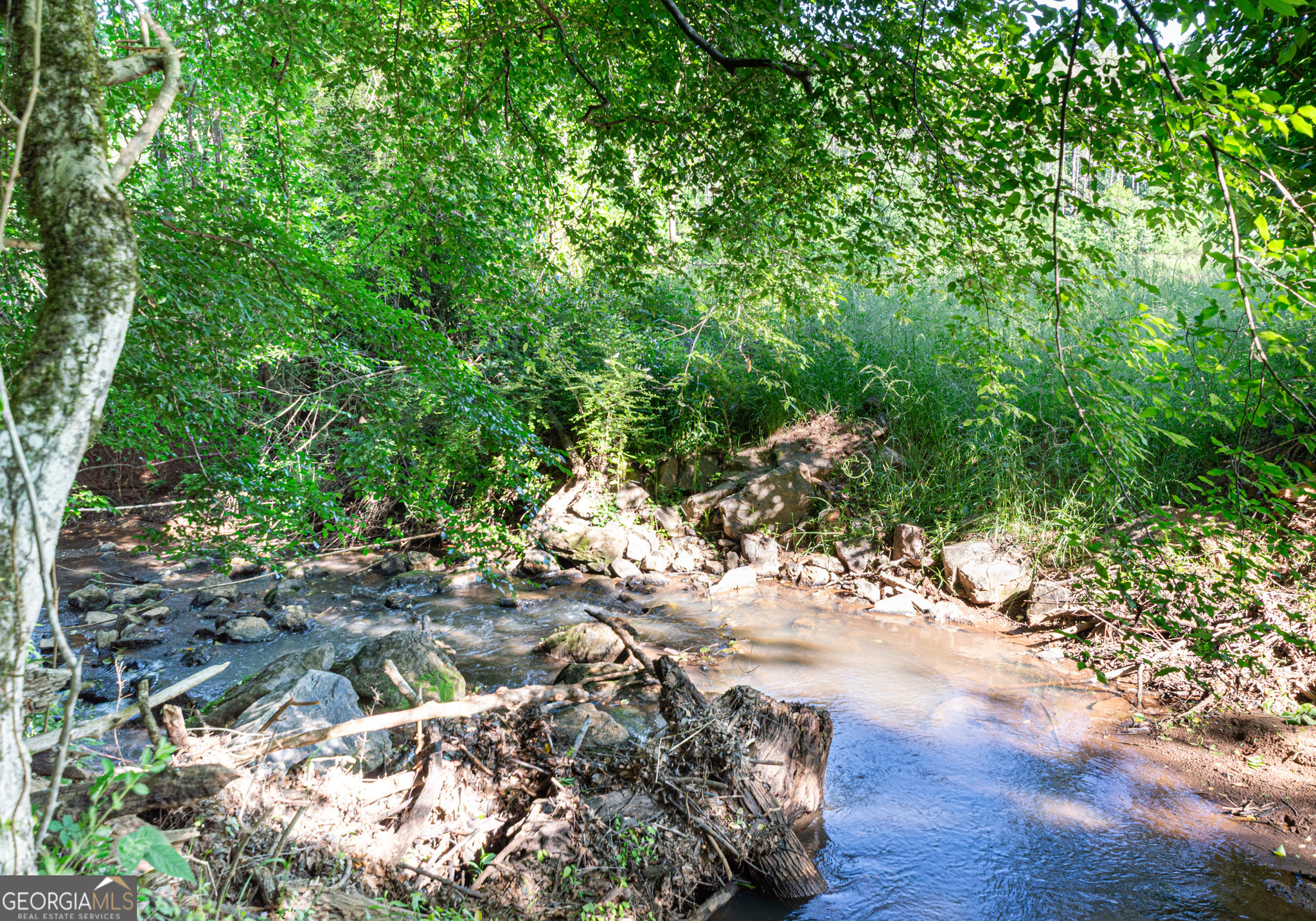 Land in Monticello 2