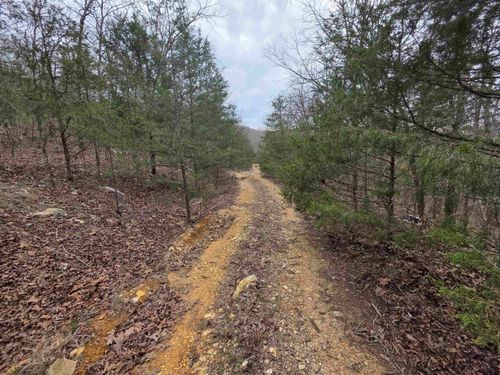 L-24 B-5 Tom Lee Road, Hardy, AR, 72542 | Card Image