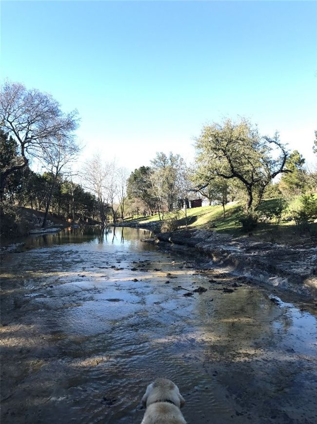 101 Hillview Trl, Home with 3 bedrooms, 2 bathrooms and null parking in Dripping Springs TX | Image 25