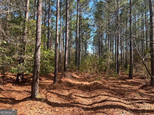 0 Old Dixie Hwy N, Newington, GA, 30446 | Card Image