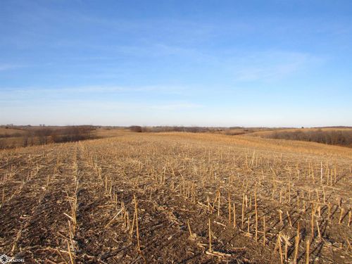 300 Acres Dewberry Avenue, Bloomfield, IA, 52537 | Card Image