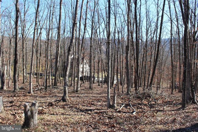 141 Hillcrest Dr, Home with 0 bedrooms, 0 bathrooms and null parking in New Creek WV | Image 11