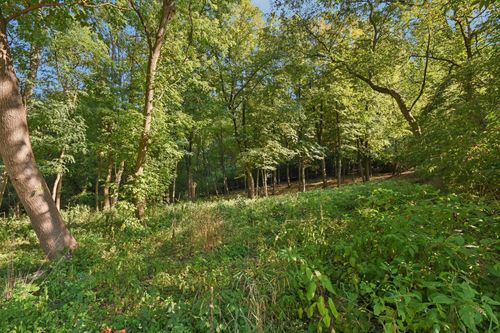 11 Harper Ct, Algonquin, IL, 60102-2094 | Card Image