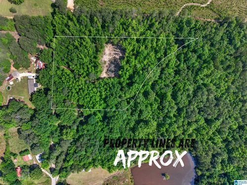 0-0 Pruitt Road, Piedmont, AL, 36272 | Card Image