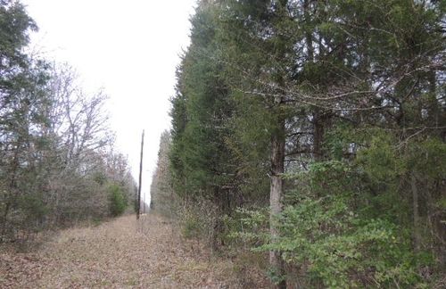 TBD Rs County Road 4455, Point, TX, 75472 | Card Image