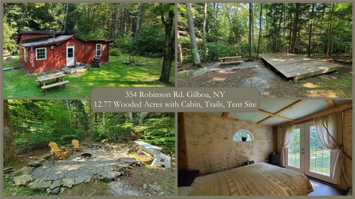 354 Robinson Road, Conesville, NY, 12076 | Card Image