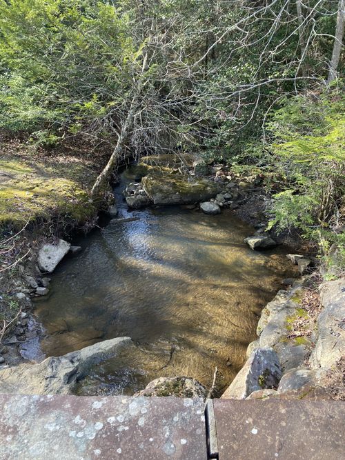 305 Timberwood Trce, Monteagle, TN, 37356 | Card Image