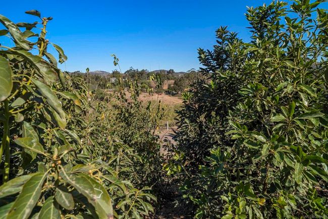 3605 Fortuna Ranch Rd, House other with 2 bedrooms, 3 bathrooms and 2 parking in Encinitas CA | Image 45