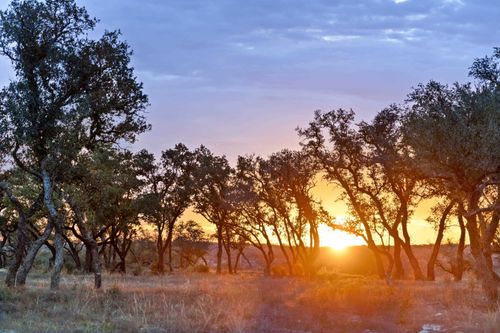 33-1422-33 Ranch Road 2766, Johnson City, TX, 78636 | Card Image