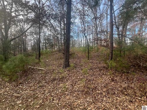 lot-8-0 0 Steamboat Rd Road, Gilbertsville, KY, 42044 | Card Image