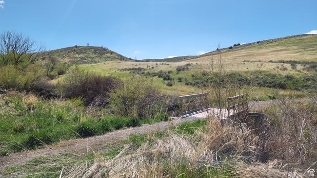 view from the community trail. | Image 38