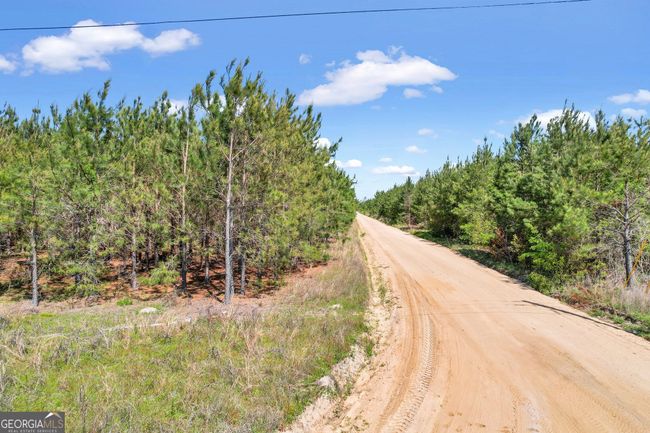 TRACT 4 Sanderling Rd, Home with 0 bedrooms, 0 bathrooms and null parking in Alma GA | Image 15