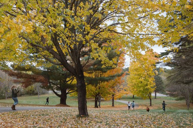 The hill is a hit with kids year-round and doubles as a fantastic sledding hill in winter. | Image 60