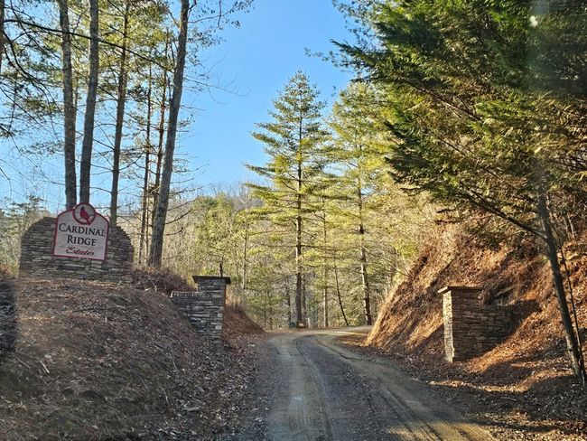16 Merlin Trl, Home with 0 bedrooms, 0 bathrooms and null parking in Murphy NC | Image 7