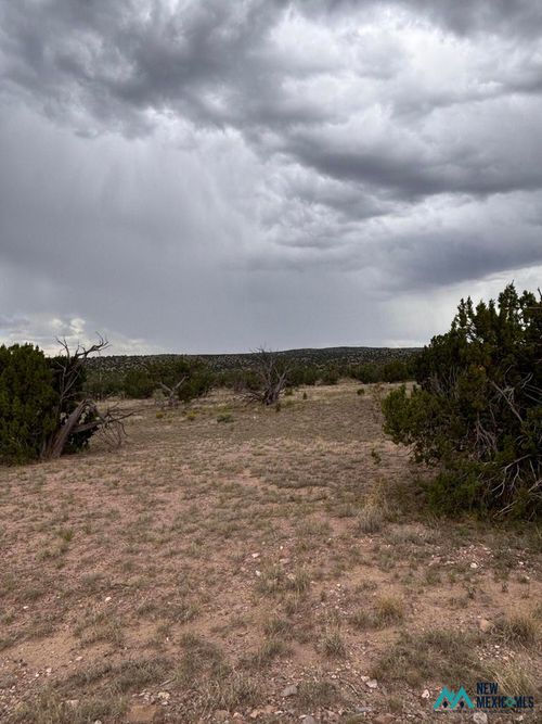 95 Abbe Springs, Magdalena, NM, 87825 | Card Image