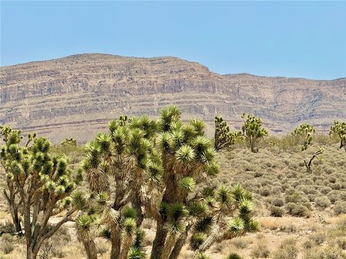 26681 N Yucca Rd, Meadview, AZ, 86444 | Card Image