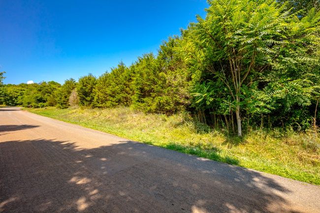 Lot 22 Lone Ash Rd, Home with 0 bedrooms, 0 bathrooms and null parking in Barren Springs VA | Image 7