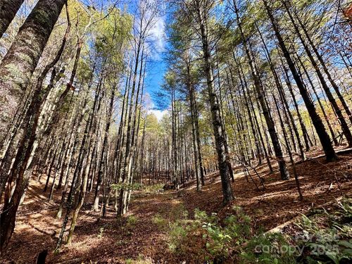 40-146 Bream Flats Dr, Nebo, NC, 28761-0296 | Card Image