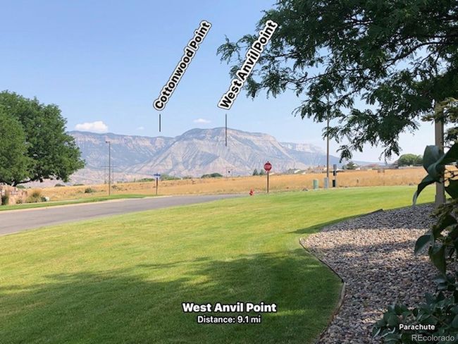 Views From Patio | Image 31