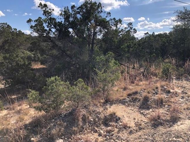 300 Onion Creek Ln, Home with 0 bedrooms, 0 bathrooms and null parking in Blanco TX | Image 5