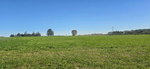 TBD ( Lot 2, Blk 2) 3rd Ave Se, Harmony, MN, 55939 | Card Image