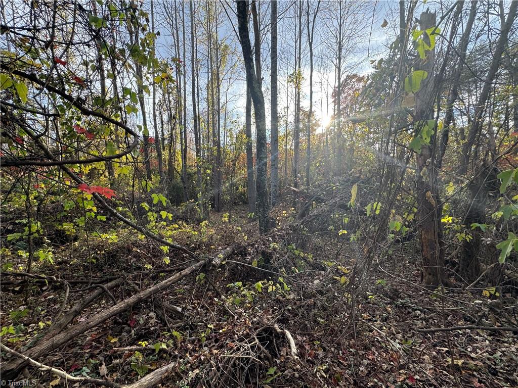 Land in Reidsville 4