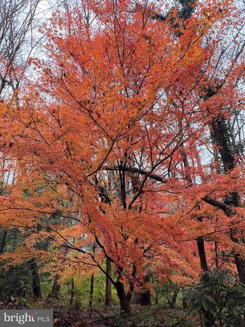 6811 Jeremiah Ct, Fairfax Station, VA, 22039-1834 | Card Image