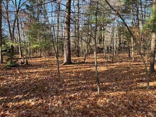 V/L Bedeau Street, Montague, MI, 49437 | Card Image