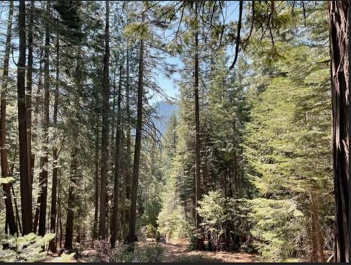 12664 Last Chance Mine Rd, Nevada City, CA, 95959 | Card Image