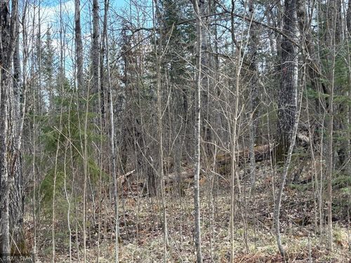 48613 334th Pl, Palisade, MN, 56469-2262 | Card Image