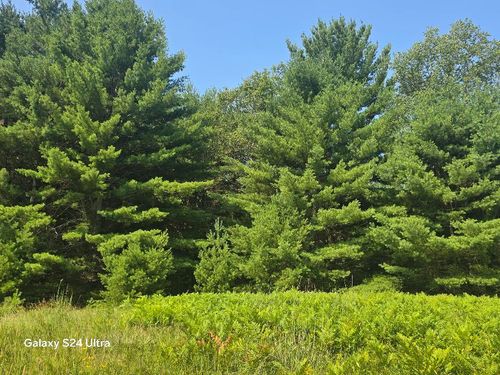 10652 W River Road, Irons, MI, 49644 | Card Image