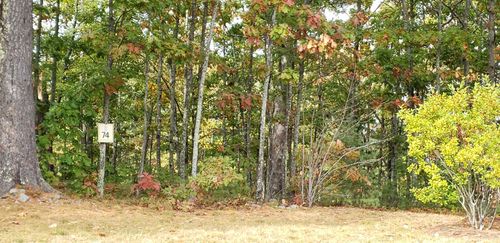 19-53 Deadreckoning Point, Laconia, NH, 03246 | Card Image