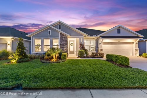 31557 Westbury Estates Ave, WESLEY CHAPEL, FL, 33545-4531 | Card Image