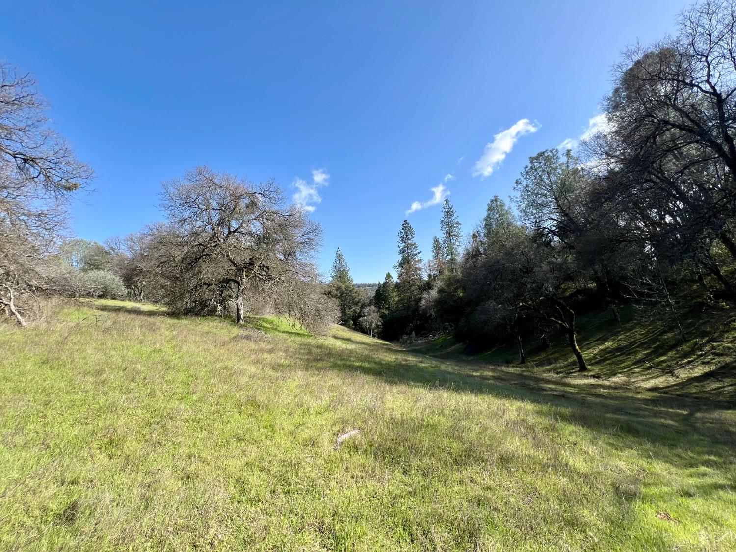 Land in Fiddletown 4