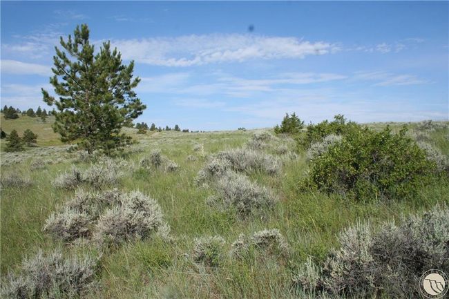 Lot 74 High Pines Blf, Home with 0 bedrooms, 0 bathrooms and null parking in Columbus MT | Image 10
