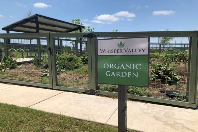 Enjoy fresh, local produce you can help grow at neighborhood organic gardens found throughout Whisper Valley. | Image 11