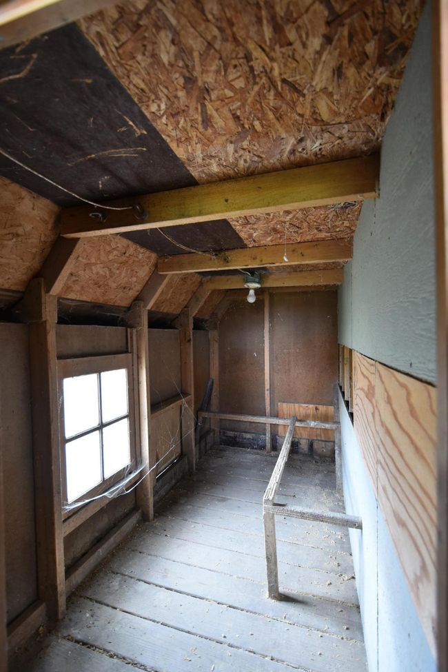 chicken coop-Have you seen the price of eggs!?!?! | Image 51