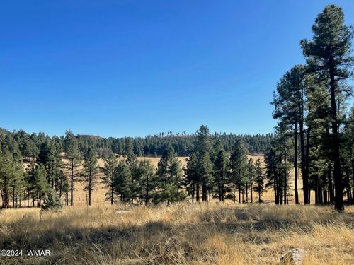 Lot D County Road N2147, Alpine, AZ, 85920 | Card Image