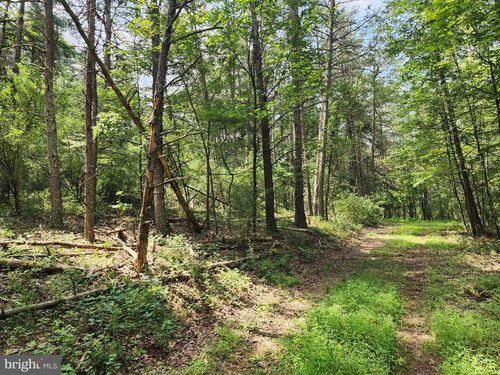 6 Burd Lane, AUGUSTA, WV, 26704 | Card Image