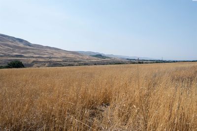 4-ACRES-IRRIGATED-LOT - TBD Hess Rd, Lot 6, Home with 0 bedrooms, 0 bathrooms and null parking in Prosser WA | Image 2