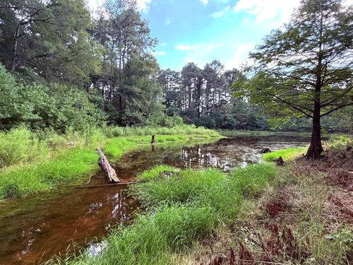 TBD County Road 3790, Joaquin, TX, 75954 | Card Image