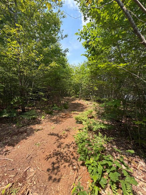 Map 206 Lot 28 Whittier Road, Tamworth, NH, 03890 | Card Image