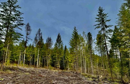 6200 Brisbois Rd, Fruitland, WA, 99129-9765 | Card Image