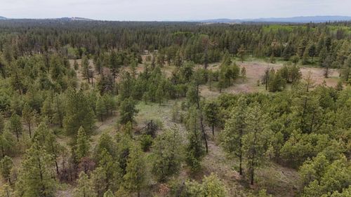 xxxx W Vacant Land Rd, Reardan, WA, 99224 | Card Image